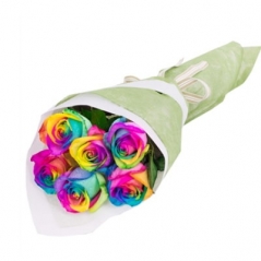 Send Rainbow Rose 6pcs to Manila,Philippines