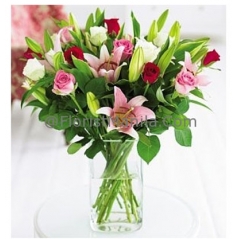 6 Stargazer with Multi Color Roses Delivery to Manila Philippines