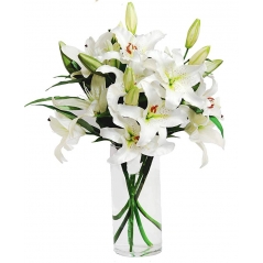 12 White Lilies in Vase Send to Manila Philippines
