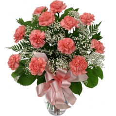 Twelve Pink Carnations