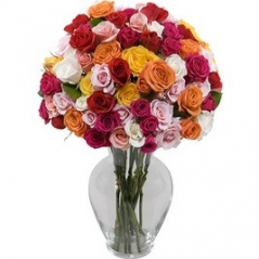 24 Multi Color Roses in Vase Send to Manila Philippines