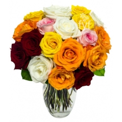 18 Rainbow Roses Delivery to Manila Philippines