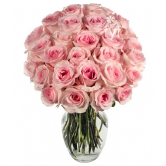 24 Pink Roses Delivery to Manila Philippines