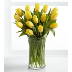 15 Yellow tulips Send to Manila Philippines