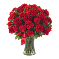24 Hot Roses & CarnationDelivery to Manila Philippines