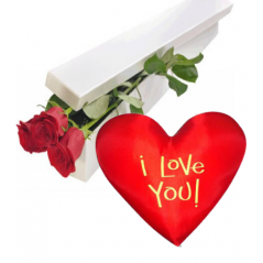 2 Red Roses Box with Wesley Heart Shaped Pillow Delivery to Manila Philippines