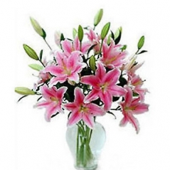 12 Pink lilies Vase Delivery to Manila