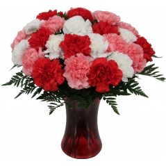 X-mas Carnations Delivery to Manila Philippines