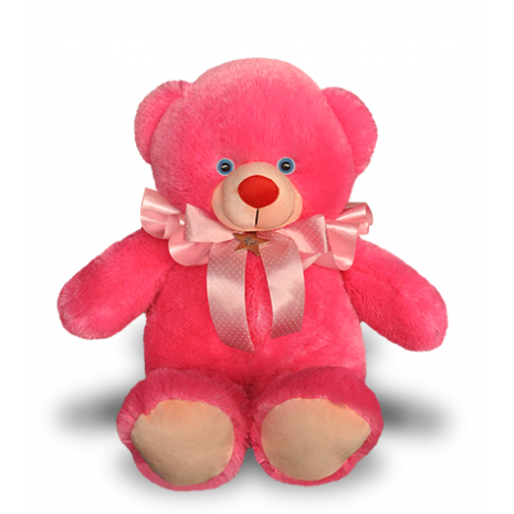 teddy bear in pink colour