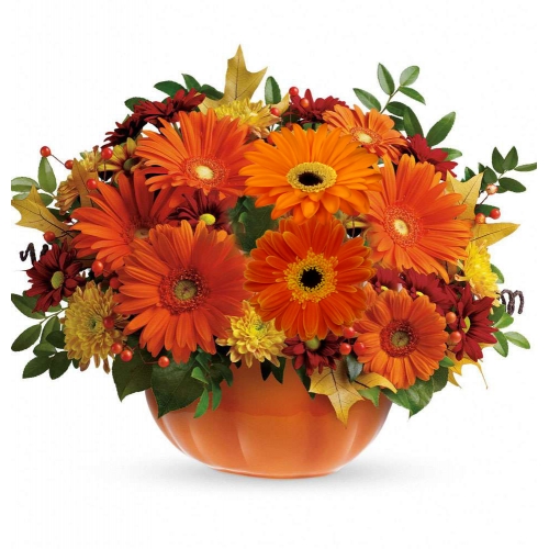 The Great Gerbera Pumpkin in a Pumpkin Vase to manila in Philippines