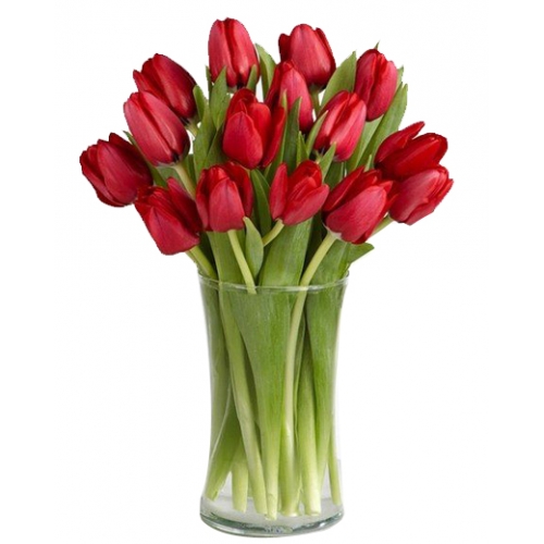 send tulips to Philippines