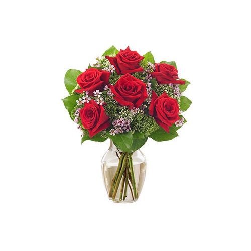 Red Rose Garden Delivery to Manila Philippines