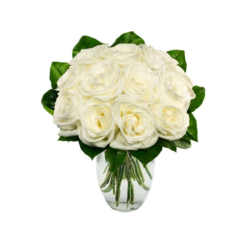 One Dozen White Roses Delivery to Manila Philippines