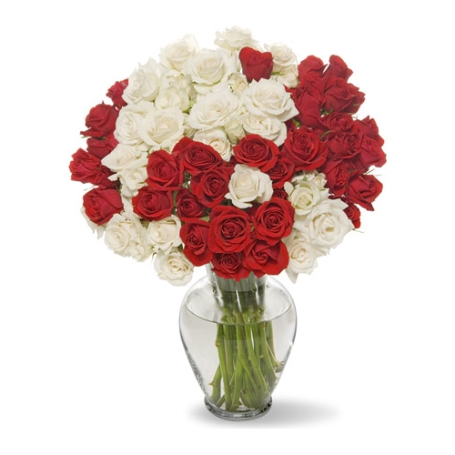 36 Bright Red & white Roses in Vase Delivery to Manila Philippines