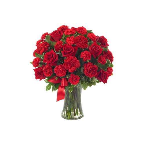 24 Hot Roses & CarnationDelivery to Manila Philippines