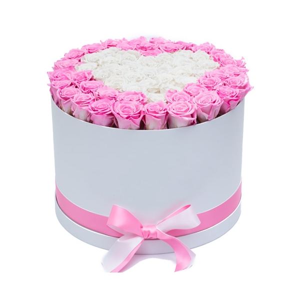50 Pink & White Roses in Box