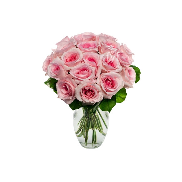18 Pink Roses Delivery to Manila Philippines