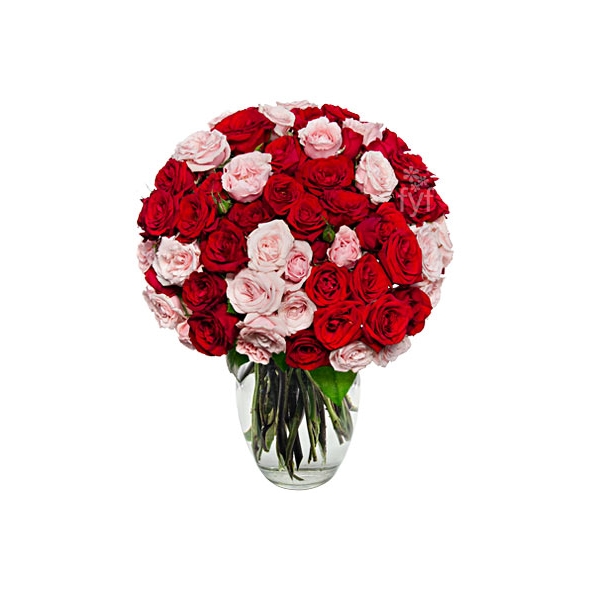 100 Blooms of Pink and Red Roses Delivery to Manila Philippines