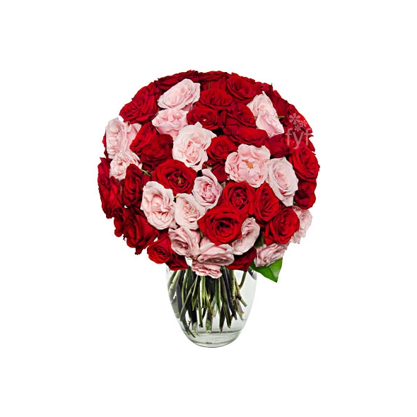 50 Blooms of Pink and Red Roses Delivery to Manila Philippines