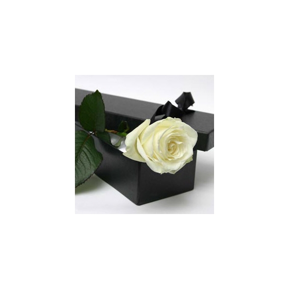 Single White Roses in Box Delivery to Manila Philippines