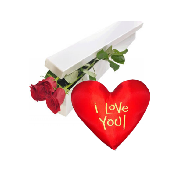 2 Red Roses Box with Wesley Heart Shaped Pillow Delivery to Manila Philippines