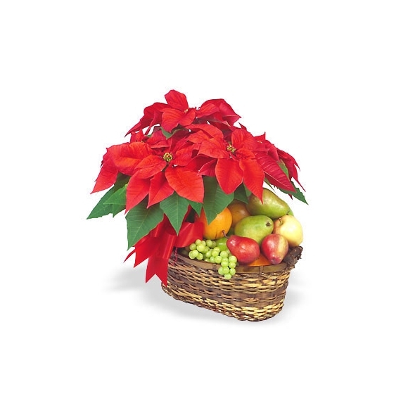 Poinsettia  & Fresh Flower Basket  Delivery to Manila Philippines